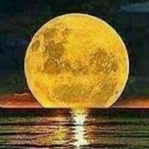 Meet your Posher, Ali